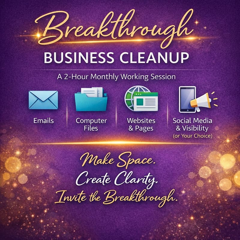 Cover Image for Breakthrough Business Cleanup