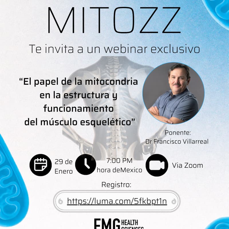 Cover Image for "El papel de la mitocondria en la estructura y función del músculo esquelético"