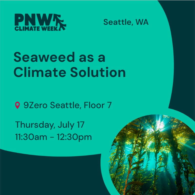 Cover Image for Seaweed as a Climate Solution