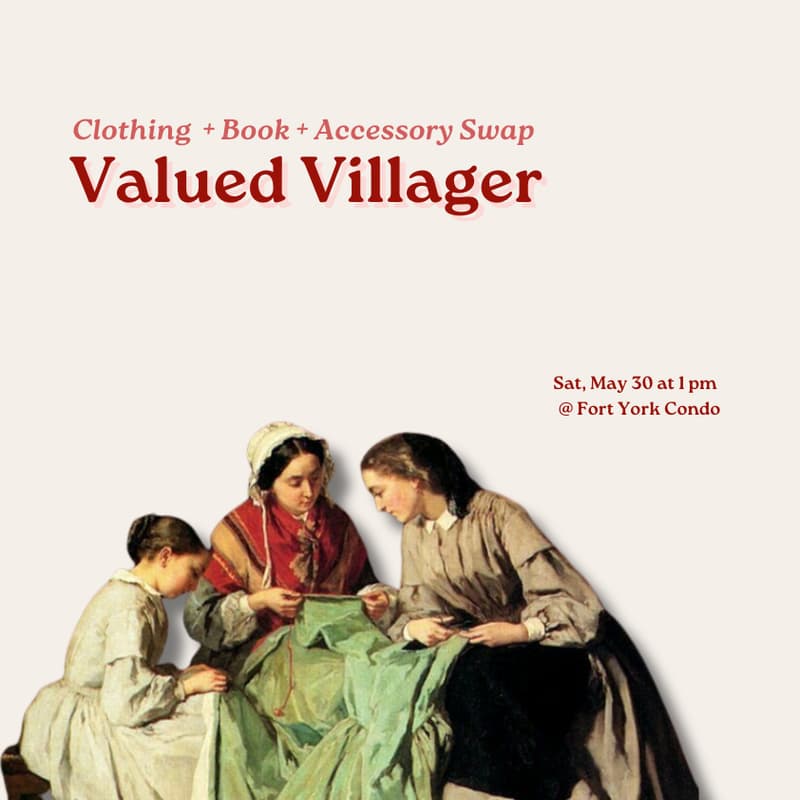 Cover Image for Vallued Villager: Clothing + Book + Accessory Swap