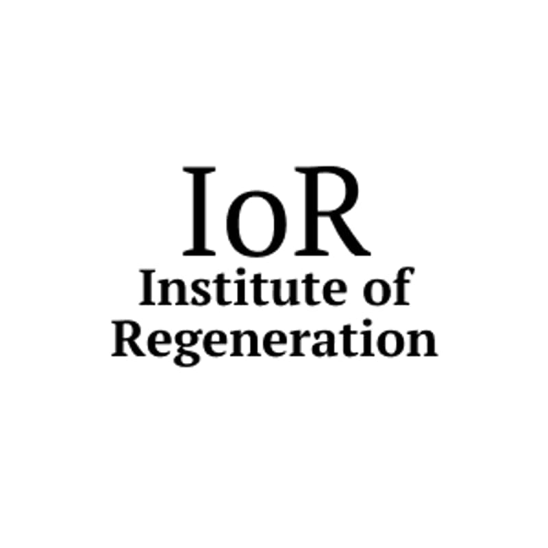 Cover Image for The First Seed - Regenerative Business Technology Workshop