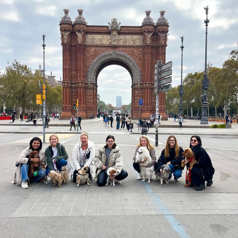 Cover Image for City Dogs | Walk to Ciutadella: 1.5 km + Park Playtime
