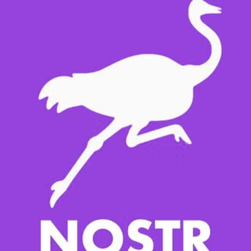 Cover Image for Introduction to NOSTR, The Sovereign Decentralized Social Media Protocol