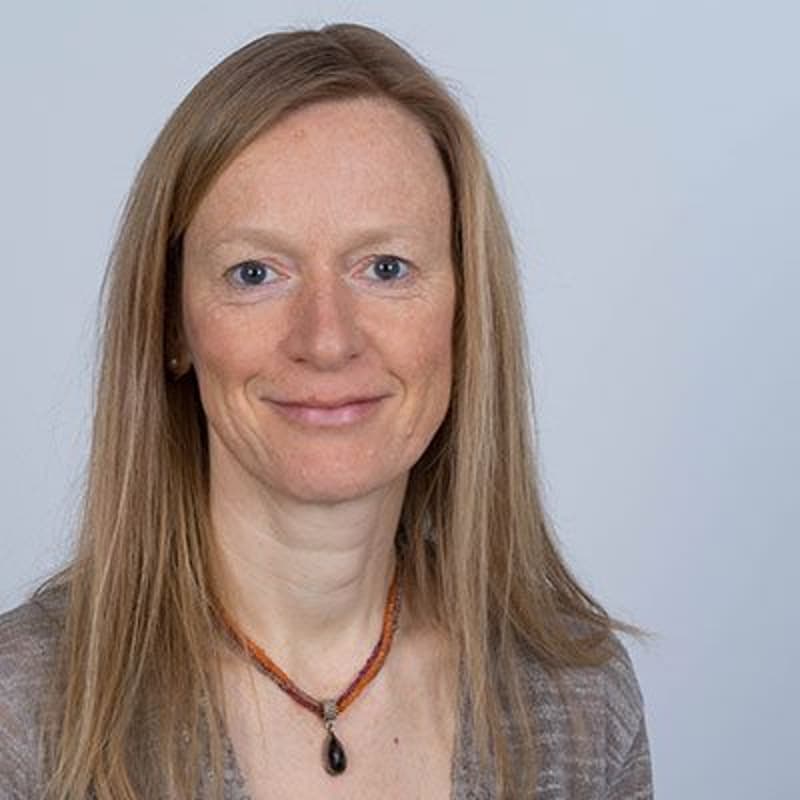 Cover Image for Supervision für Atemtherapeuten*innen