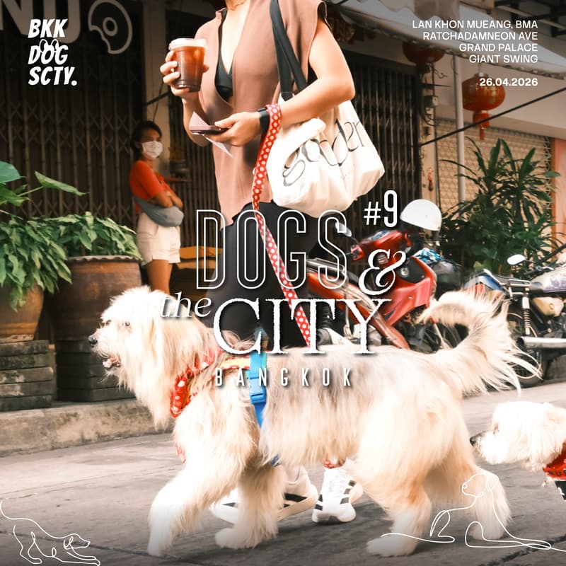 Cover Image for Dogs & the CITY #9