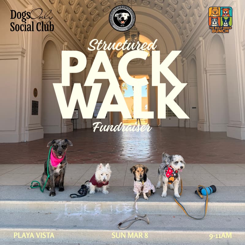 Cover Image for March Pack Walk Fundraiser