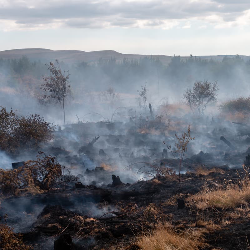 Cover Image for Wildfire Risk & Mitigation Workshop