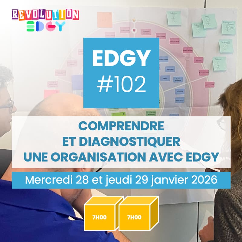 Cover Image for Comprendre et diagnostiquer une organisation avec EDGY