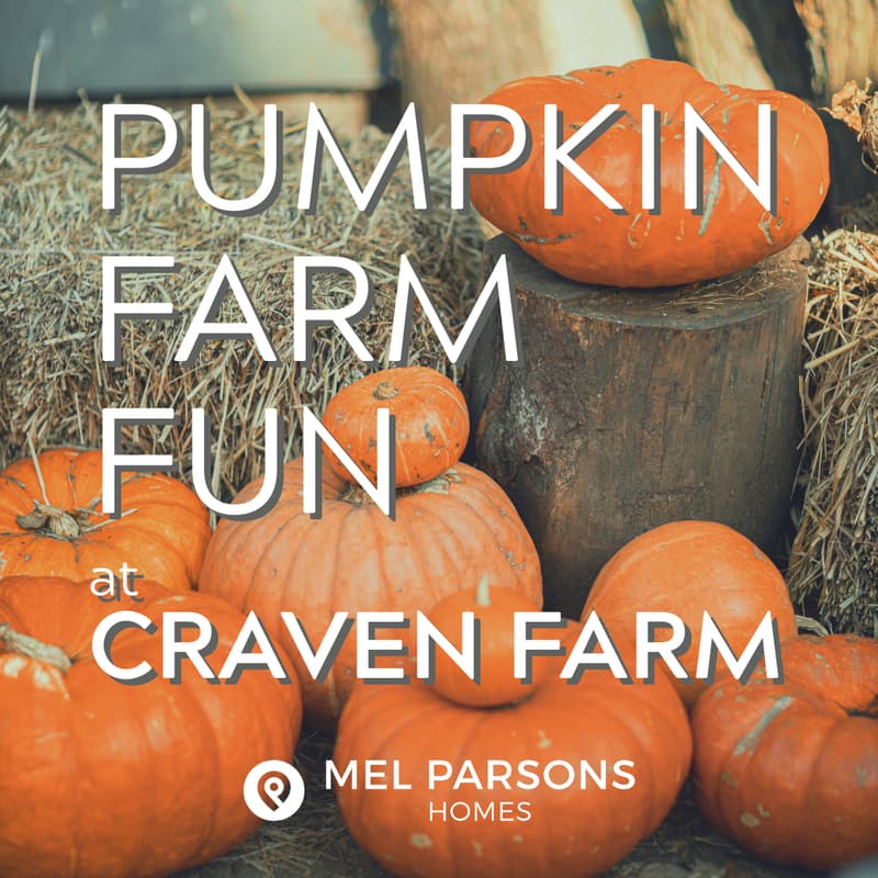 Cover Image for Pumpkin Farm Fun!