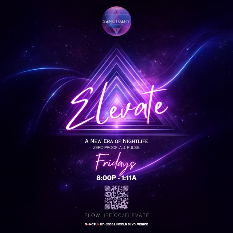 Cover Image for Elevate: A New Era of Nightlife
