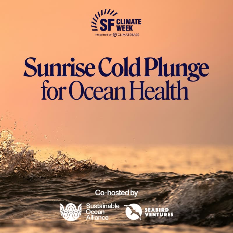 Cover Image for Sunrise Cold Plunge for Ocean Health