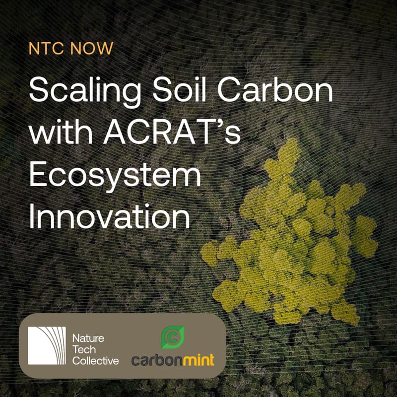 Cover Image for NTC Now: Carbon Mint — Scaling Soil Carbon with ACRAT’s Ecosystem Innovation