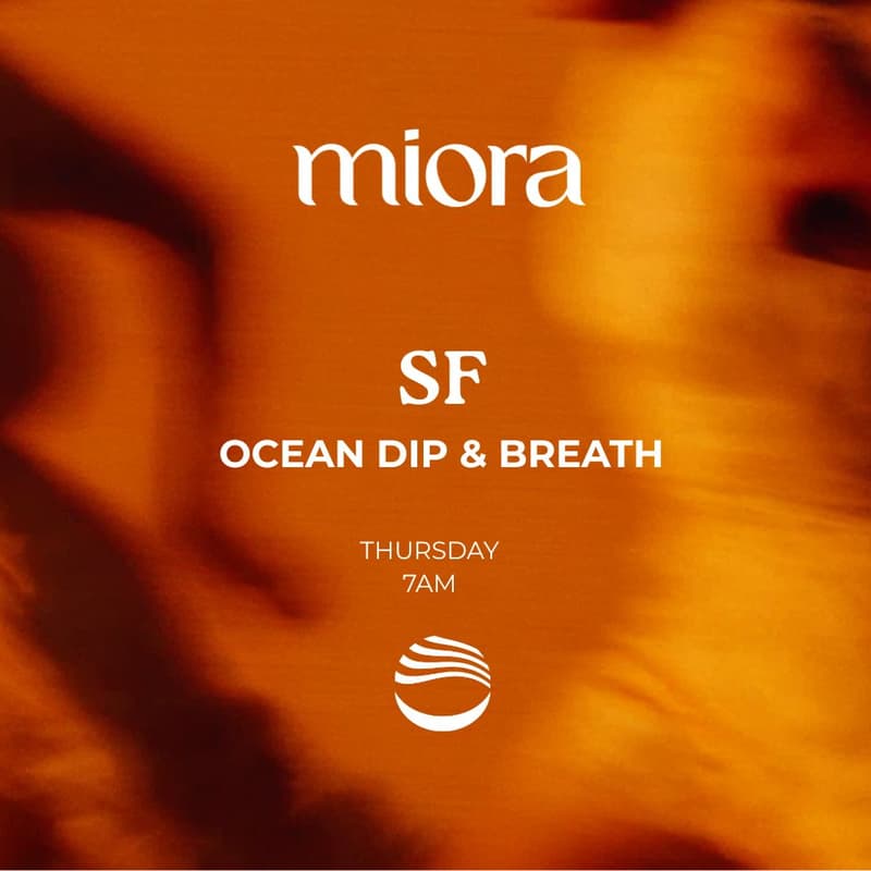 Cover Image for SF: Ocean Dip