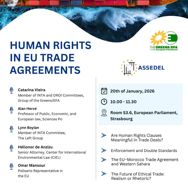 Cover Image for Human Rights in EU Trade Agreements