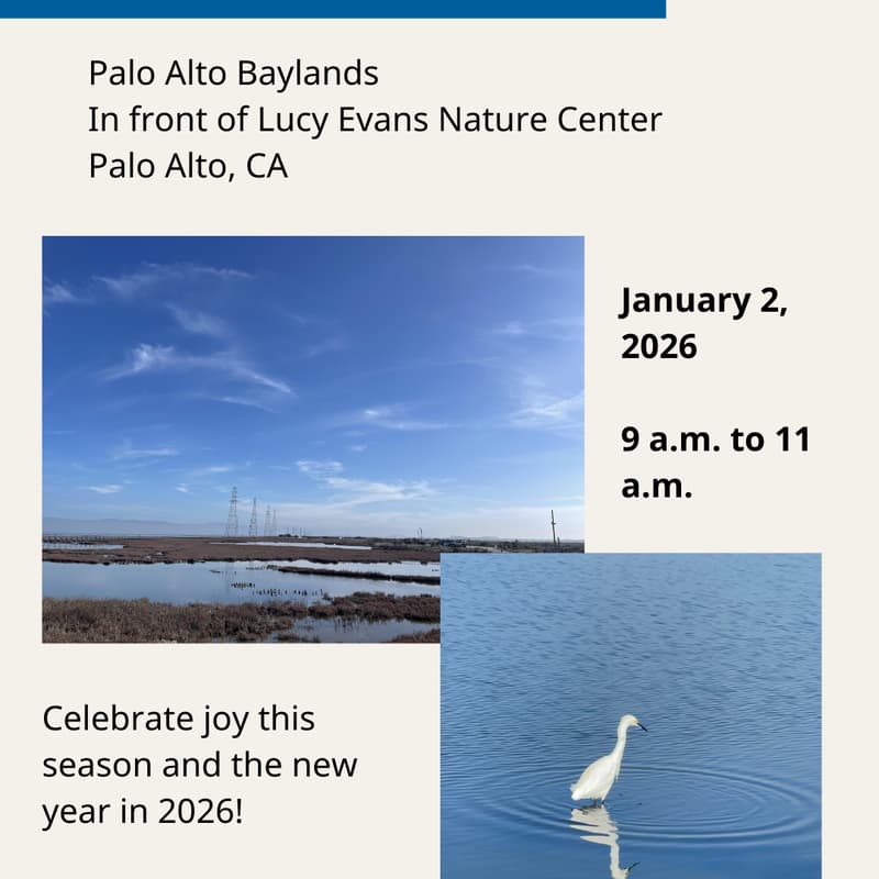 Cover Image for Celebrate King Tide with Nature Journaling