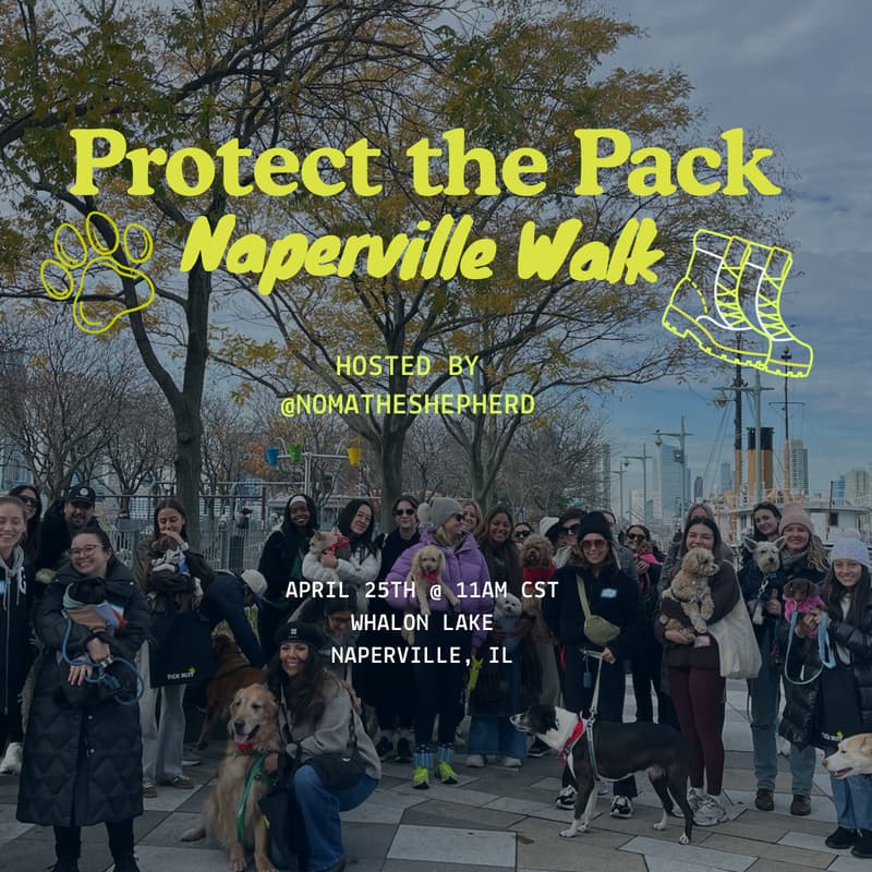 Cover Image for Protect the Pack Naperville Dog Walk