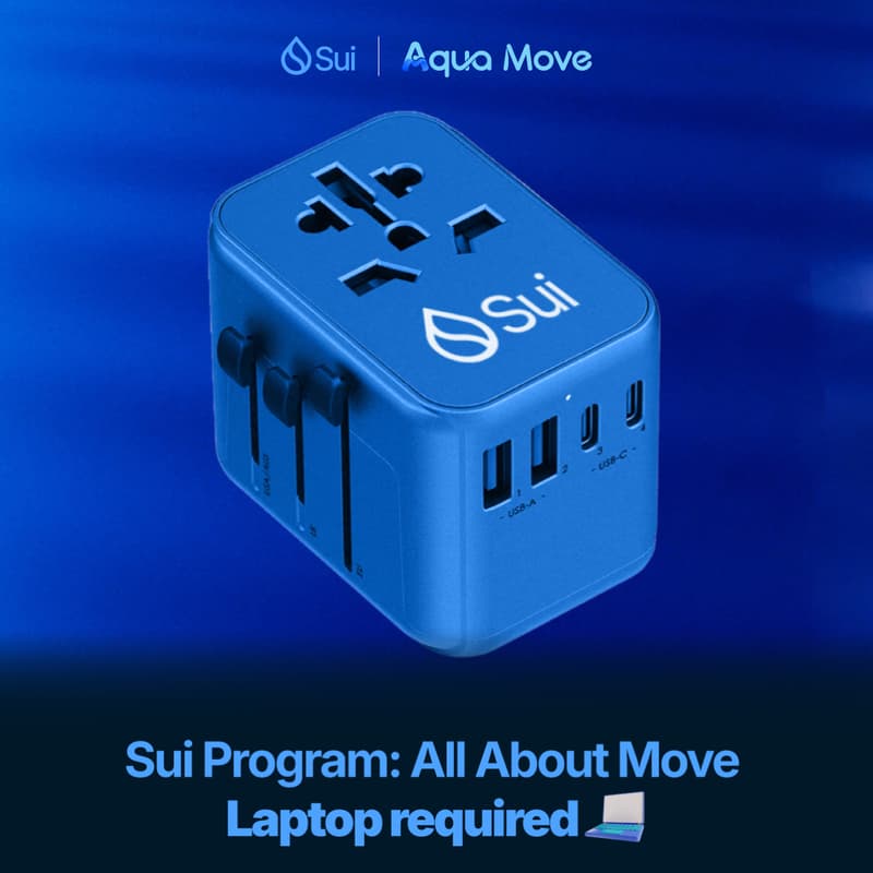 Cover Image for Sui Program: All About Move