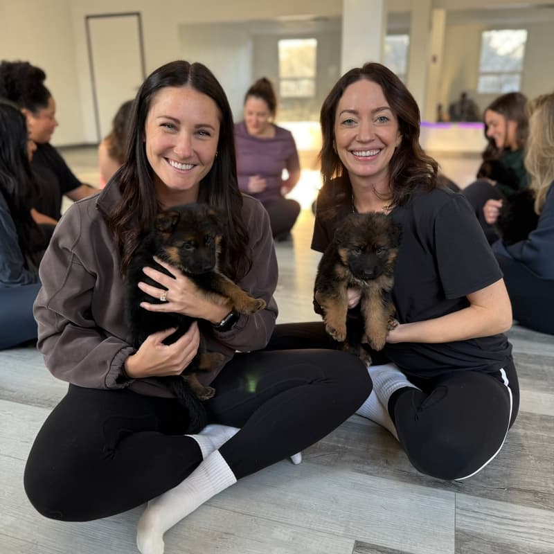 Cover Image for AfroPuppyYoga -📍Hamilton - 🐶Caucasian Shepherds