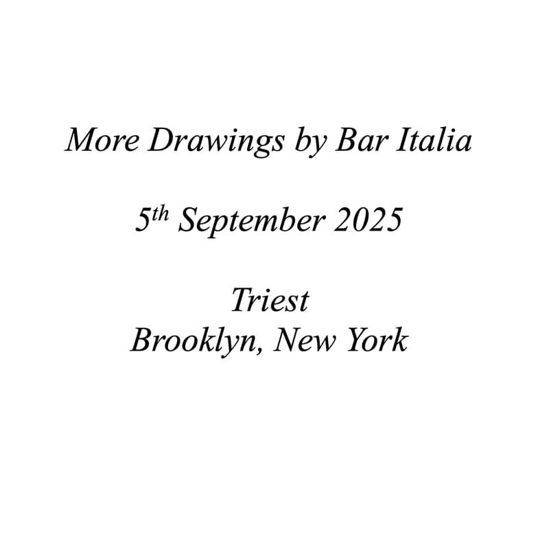 Cover Image for More Drawings by bar italia at Triest Gallery