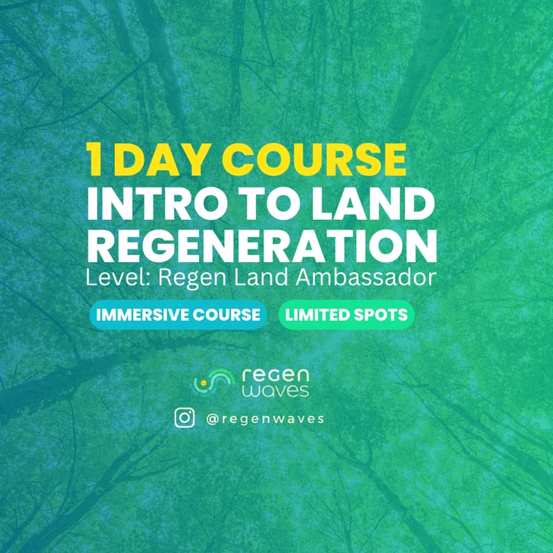 Cover Image for Intro to Land Regeneration