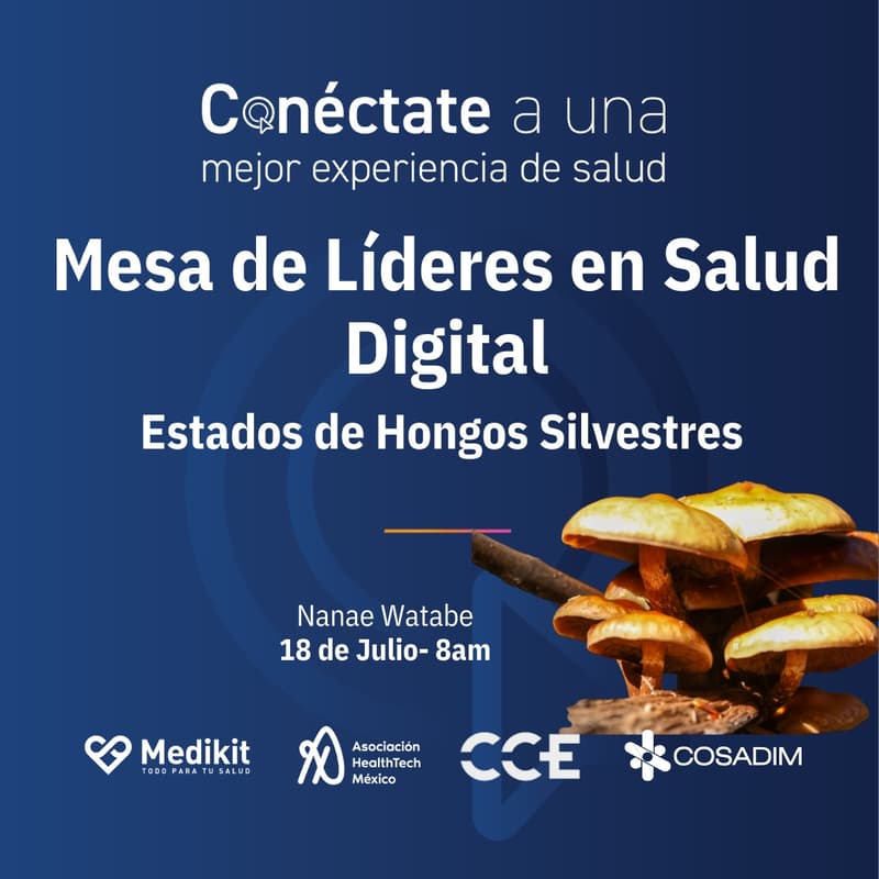 Cover Image for Estados de Hongos Silvestres