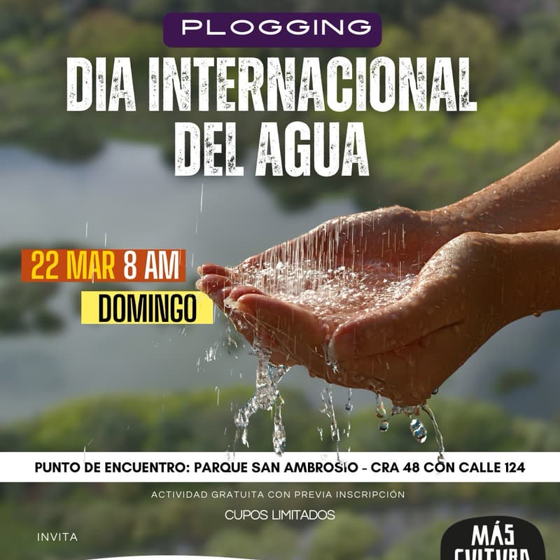 Cover Image for Plogging Distrito Alhambra Marzo