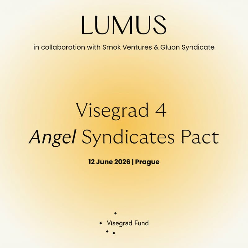 Cover Image for Visegrad 4 Angel Summit