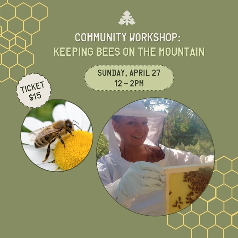 Cover Image for Keeping Bees On The Mountain