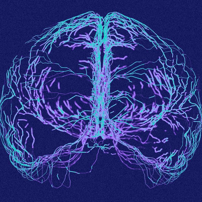 Cover Image for Network School x Molecule Residency | Day4: Builders Day: Prototype your DeSci Project in 1 day
