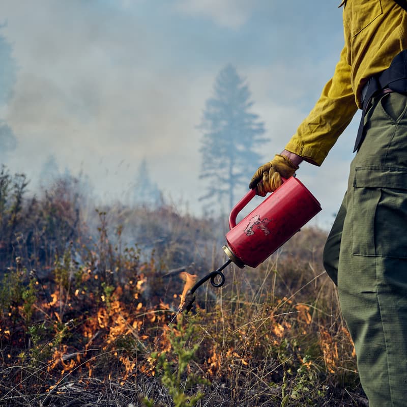 Cover Image for Embracing Beneficial Fire: Stories from the Ground in California and Brazil
