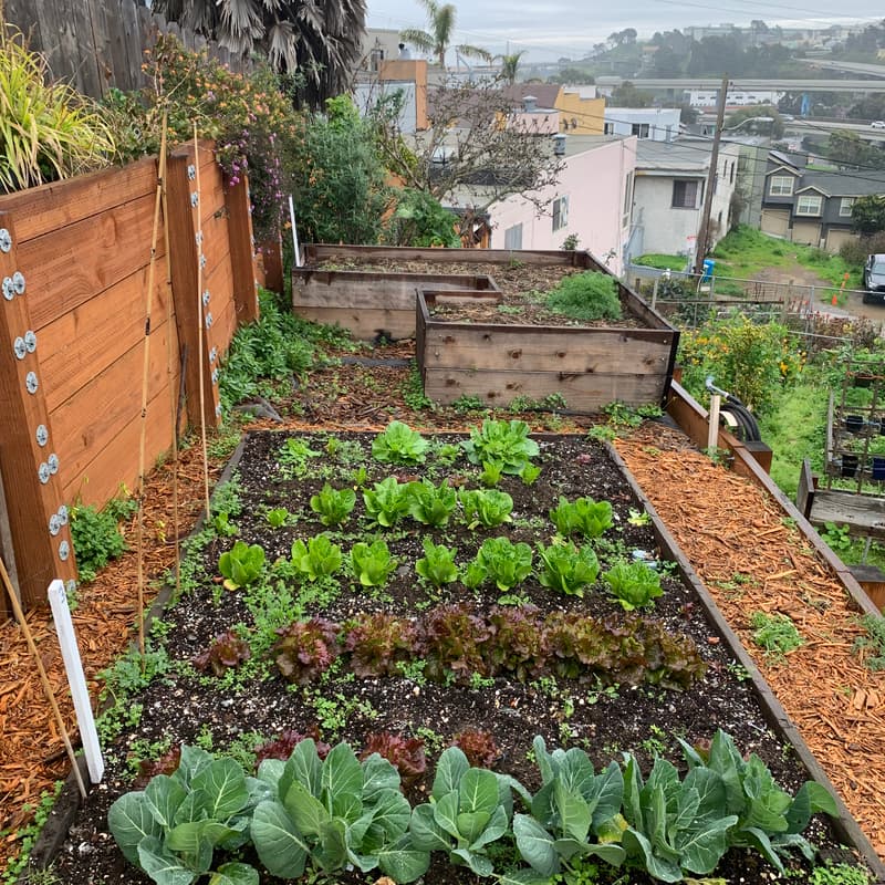 Cover Image for Bernal Home Exchange Introduction Potluck
