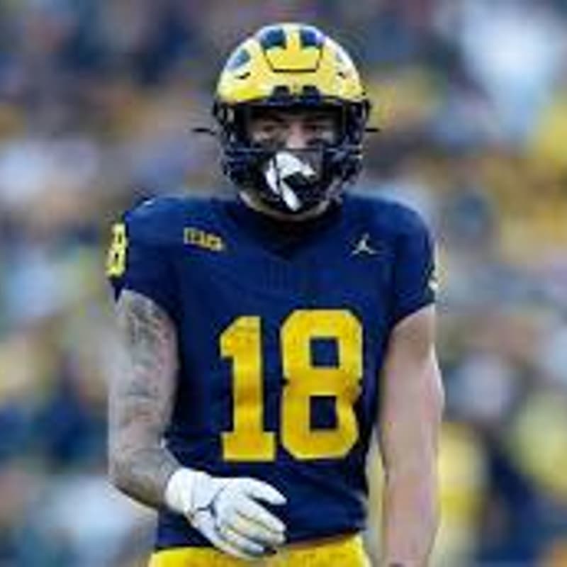 Cover Image for UMLA x PLUMA Homecoming Tailgate - Michigan vs Wisconsin 📢