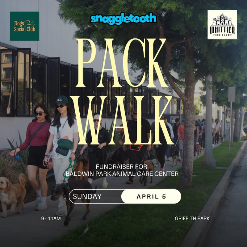 Cover Image for April Pack Walk Fundraiser