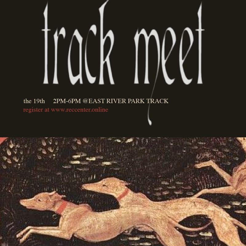 Cover Image for halloween track meet