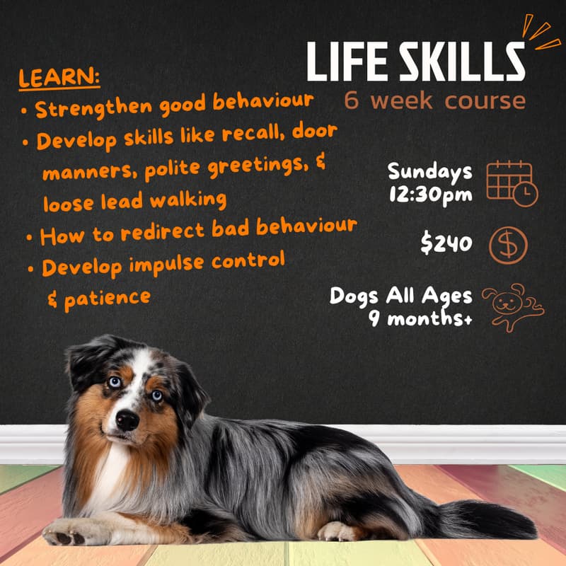 Cover Image for Life Skills | 12:30pm Sundays