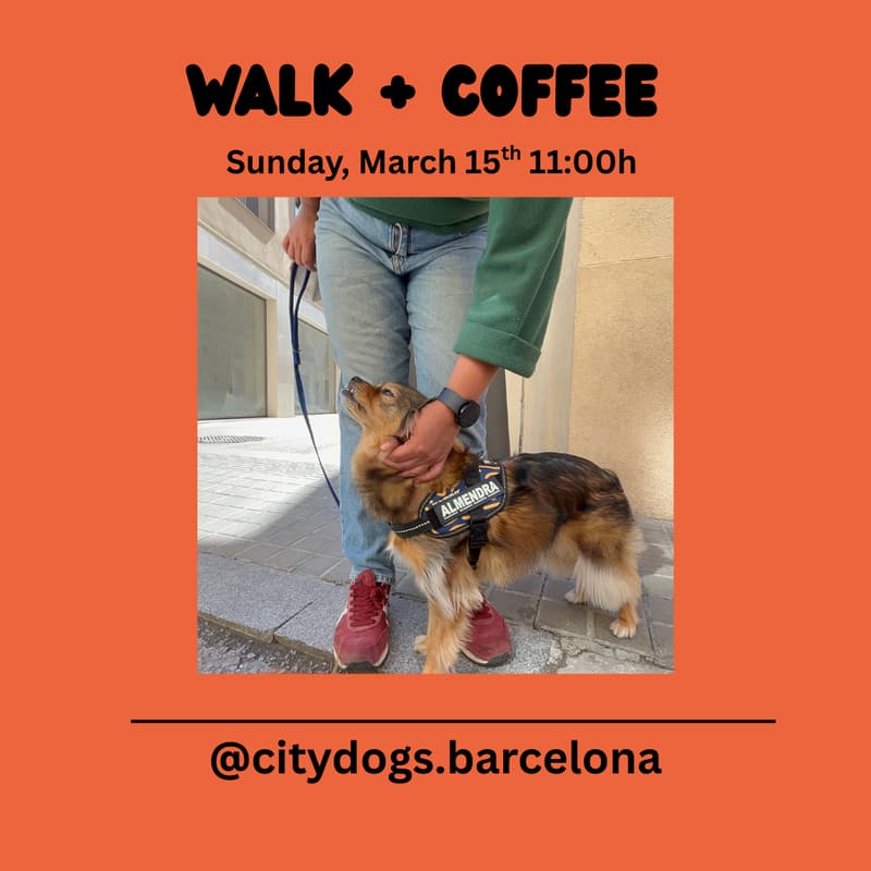 Cover Image for Walk + Coffee