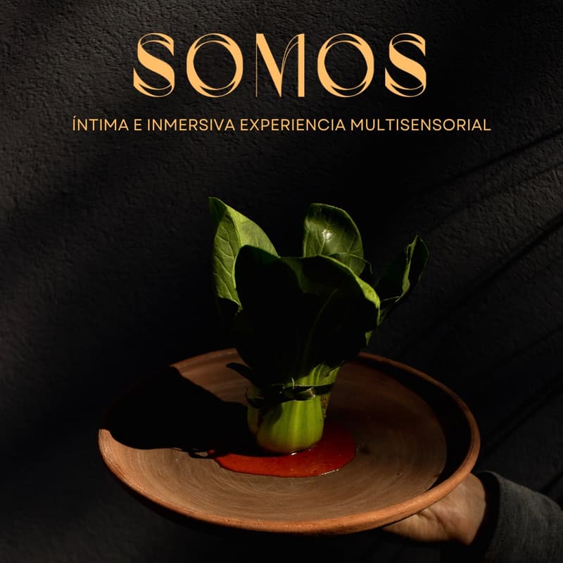 Cover Image for SOMOS x OTHER SELVES