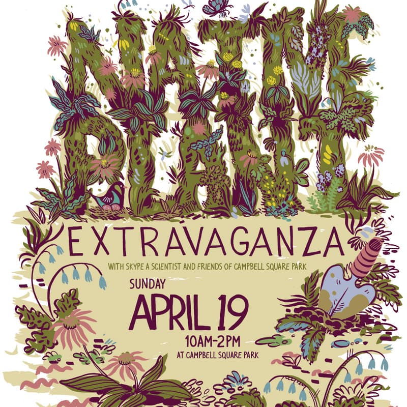 Cover Image for Native Plant Extravaganza
