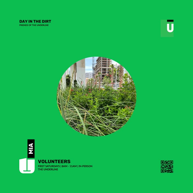 Cover Image for Urblandia | MIA | Volunteers
