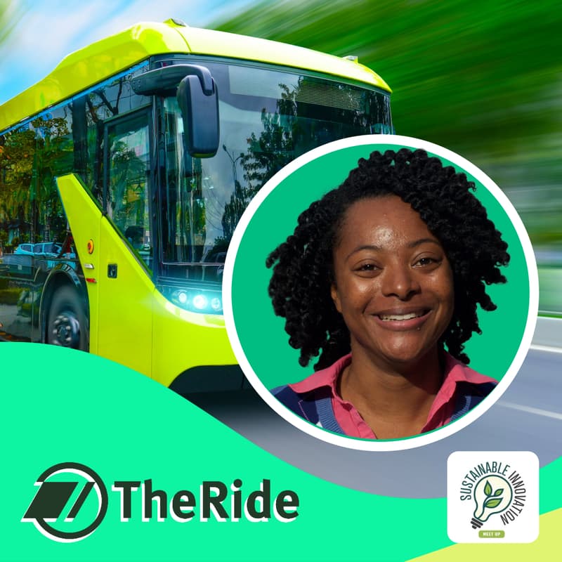 Cover Image for Beyond EVs and Micromobility: Demand‑Side Innovation for a Sustainable Transportation Future