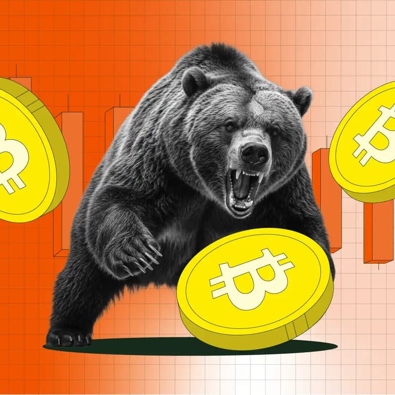 Cover Image for ¿Qué pedo con el Bear Market de Bitcoin?