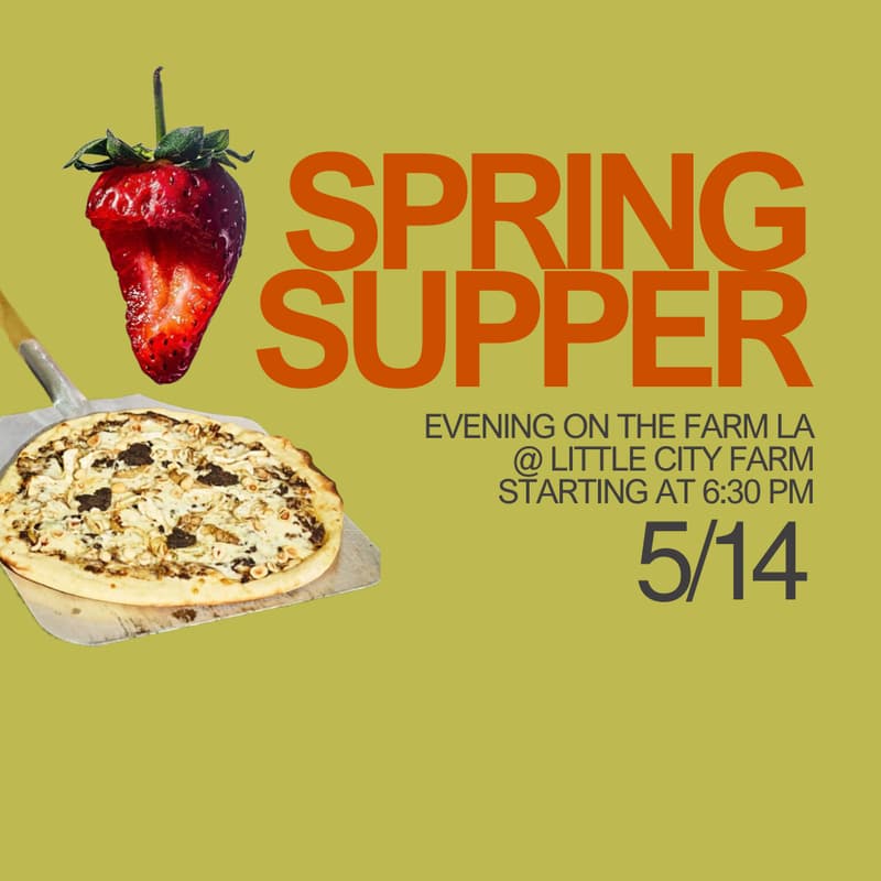 Cover Image for Spring Supper @ Little City Farm