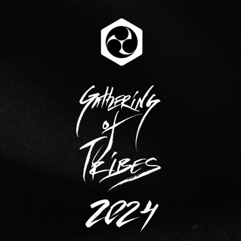 Cover Image for Gathering of Tribes: Astralship Camp