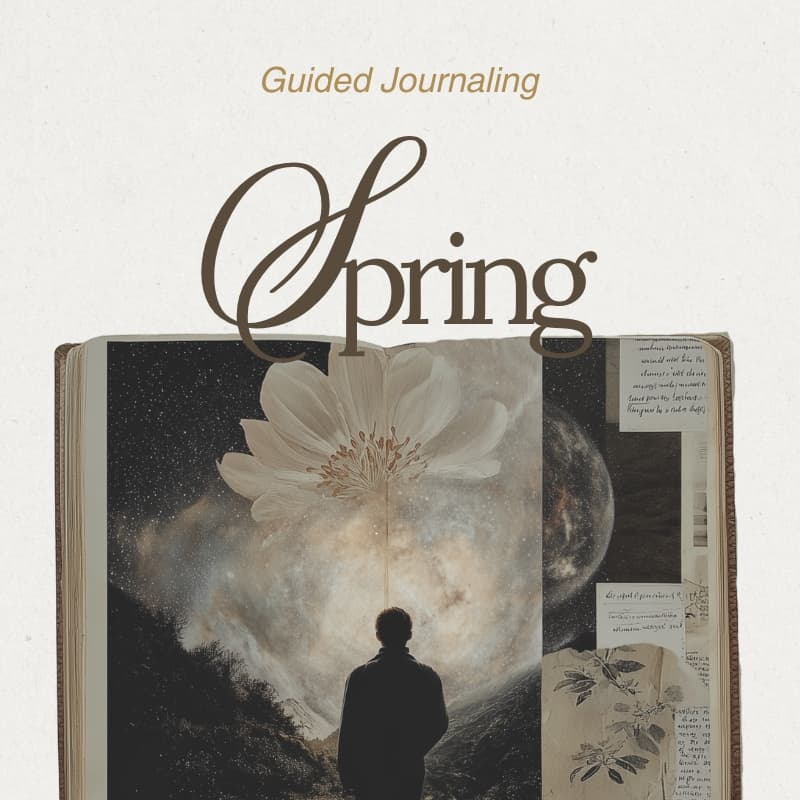 Cover Image for Guided Journaling: Spring Reflection 🌻