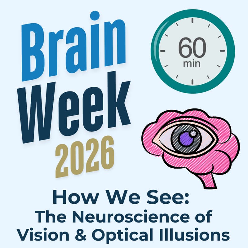 Cover Image for How We See: The Neuroscience of Vision and Optical Illusions (Brain Week 2026)