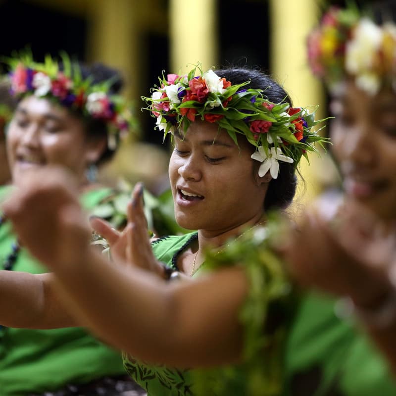 Cover Image for AM Pasifika | Tours & Workshop