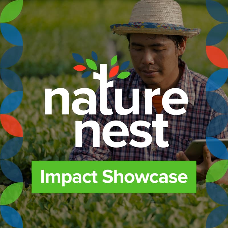 Cover Image for NatureNest Impact Showcase