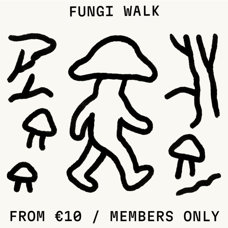 Cover Image for Fungi Walk w/ Gentle Human Mushroom Club