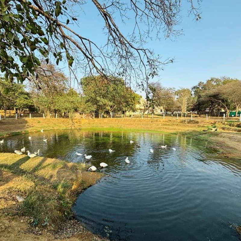 Cover Image for Event: Real Nature in Restored Landscapes