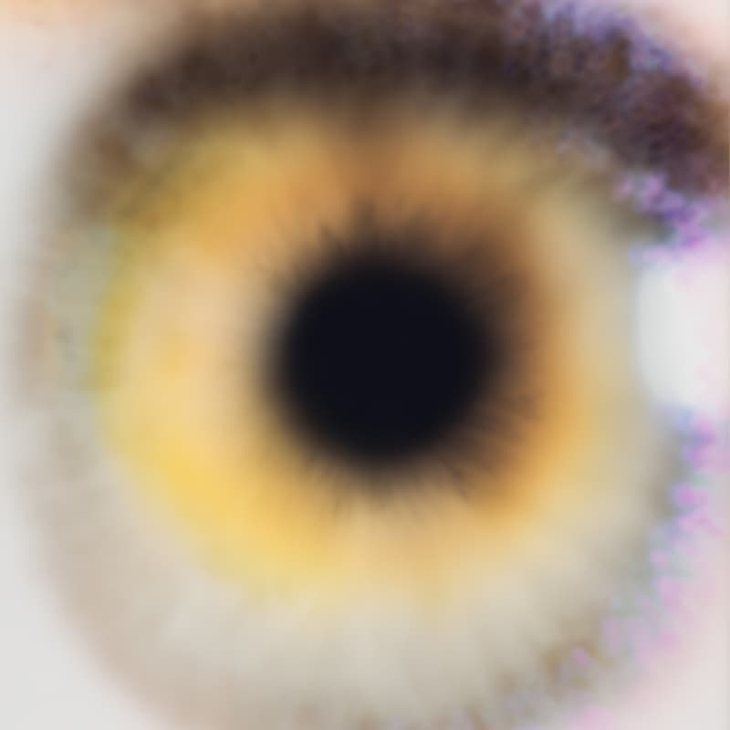 Cover Image for The Retreat Method: Return